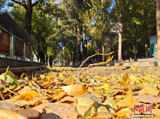 �S��54·��܉�܇�ؾ��h(hu��n)���������Σ���߅�L(f��ng)ò������(j��)�����S���~䁝M·�档���� ���z