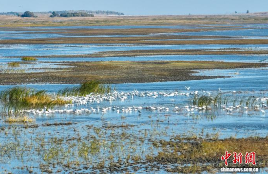 10��16��������ĪĪ����Ҽ���Ȼ���o�^(q��)��(n��i)�������ڑ�ˮ��(�o�˙C��Ƭ)�w��� �z