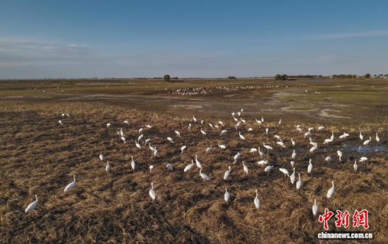 10��16�����ڼ���ĪĪ����Ҽ���Ȼ���o�^(q��)��(n��i)���Q����Ϣ��(�o�˙C��Ƭ)�w��� �z