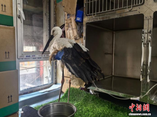 �܂��Ė|�����X���ڽ����ί�����ʯ���� �z