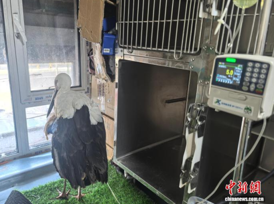 �܂��Ė|�����X���ڽ���ݔҺ�ί�����ʯ���� �z