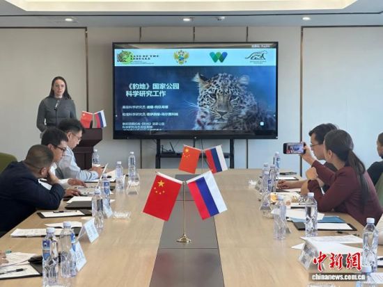 ���_˹���ҷ������o(h��)�|������(j��ng)�(y��n)�������� �z