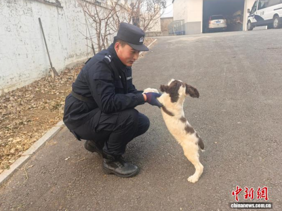 ���Ҳ������c�[�����B(y��ng)�H�ܶȡ���ʯ���� �z