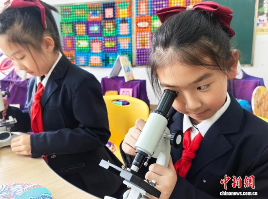 �W(xu��)��ͨ�^�@΢�R�^���G�~��(x��)������ʯ���� �z