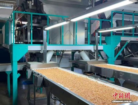 �������a(ch��n)����(�L�����P(gu��n)���D)