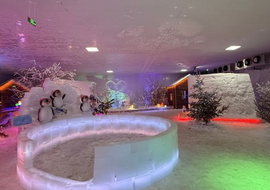 延吉市委宣傳部/供圖 延吉市委宣傳部/供圖