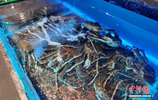 ���B(y��ng)����ĵ���з����߅��ί������ ���D