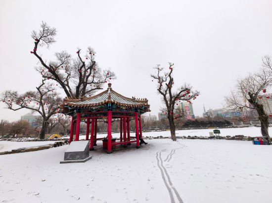 �Ӽ���ί������/���D