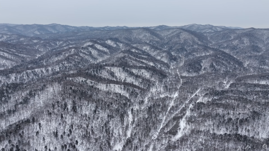 ���AƤ���(zh��n)ĵ���X�� �������ý�w���Ĺ��D