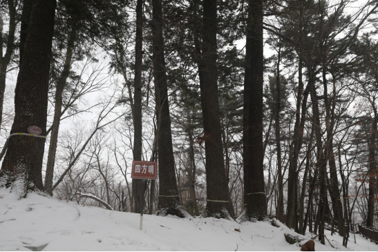 �ķ��������ڵ��� �������ý�w���Ĺ��D