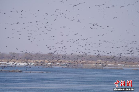 �B��^�������Ժ��������� �z