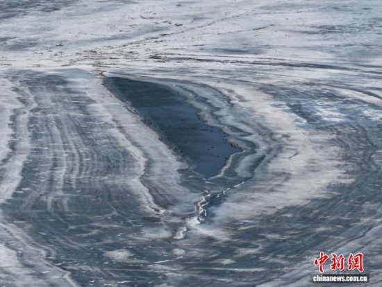 3��16�գ������(zh��n)�l�������������������BͣЪҒʳ���������� �z